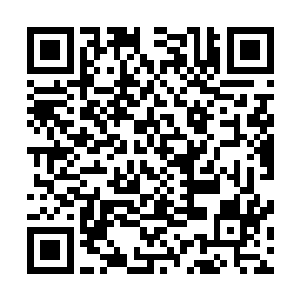 本来她应该与陪嫁的下人一起被送到后面的小院子里安置的二维码生成