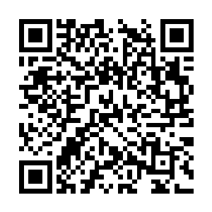 本来她觉得孟猊杀了小的诸犍和老的诸犍有些残忍二维码生成