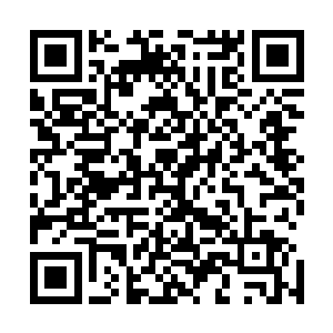 本来密密麻麻倚着凸凹不平的地势修建连绵大小不一的房屋二维码生成