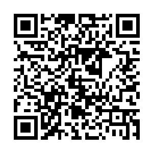 本来就扣着蓝符准备飞步的我急忙转飞进了树林里二维码生成