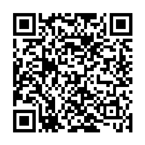 本来就是为了看看柳逸尘主演的片子究竟是个什么揍性二维码生成