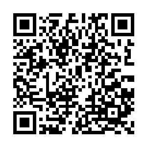 本来就没有凋谢的鲜花经过神光的滋润越发娇嫩二维码生成