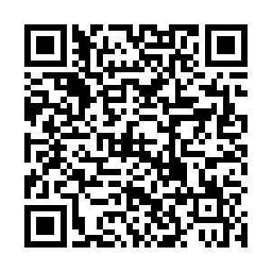 本来就紧身的红色武士袍更是完全贴住她的玲珑娇躯上二维码生成