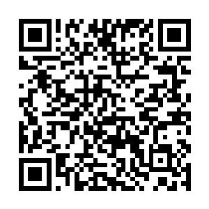 本来就缓缓向张潇晗身边聚集的冰灵忽然间多了起来二维码生成