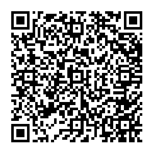 本来就被陆为民的一唬一吓弄得七窍生烟的干瘦男子在听到这外边儿来接亲的车上任的一阵乱骂二维码生成