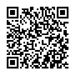 本来已经绝望的心重新燃烧起能够继续存活下去的希望二维码生成