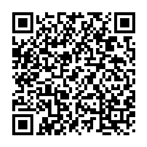 本来已经随着身上生机流逝渐渐变得黯淡的眼眸骤然凝聚出一抹凶光二维码生成