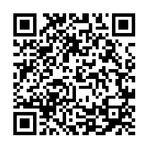 本来平静的神色在说起沈苍苍的时候也带了几分笑意二维码生成