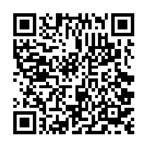 本来应该处于大爆期的这张专辑却因为受到盗版的拖累二维码生成