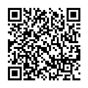 本来应该是他亲自带领梓箐完成新居民入住仪式的二维码生成