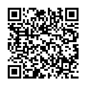 本来想学着司空长琴的样子摸一摸司空月月的头的二维码生成