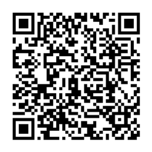 本来想给杨晨重创的可是没有想到最后却是把自己这边的人陷了进去二维码生成