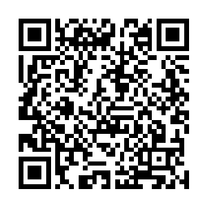 本来感觉自己的心脏竟然都仿佛像是被摔碎过的瓷器那样二维码生成