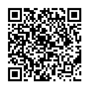 本来我以为你这次能找来八百匹战马就已经非常好了二维码生成