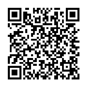 本来我们商议让最近最火的伊娜代言我们的产品二维码生成