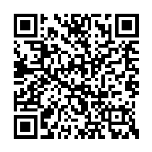 本来我们的欢喜哥是可以拿出小胖那张欠条来的二维码生成