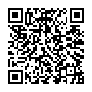 本来我们这样的能力拥有者是不准随便在普通人面前战斗的二维码生成
