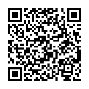 本来我们都不看好你在之前约下的赌约中获胜的二维码生成