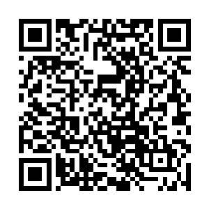 本来我只是以为被开膛的藏獒恰巧吃了不消化的东西二维码生成