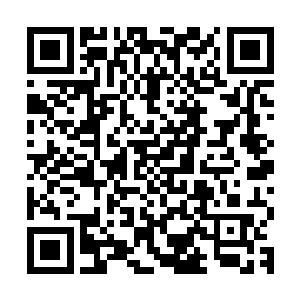 本来我和弟弟把它们放到水里去的不过它们一到的水里就往上爬二维码生成
