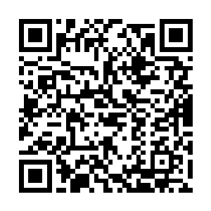 本来我是想要从我老爸那里先打听一下沈枫的消息二维码生成