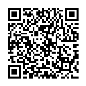 本来我还担心武月凝会跟着他们学到一些不少儿不宜的事情二维码生成