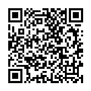 本来我还是可以安慰我自己这枚蛋就是个变异的品种二维码生成
