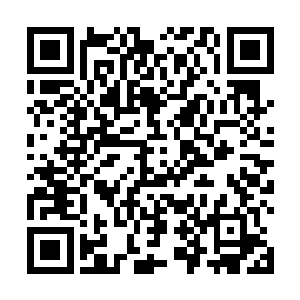 本来打算解决了天机宫的事就找个山清水秀的地方安家二维码生成