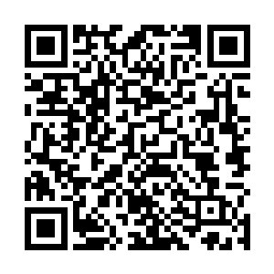 本来挥向龙辰脖子的一刀迅速的转向迎向了那一道寒芒二维码生成