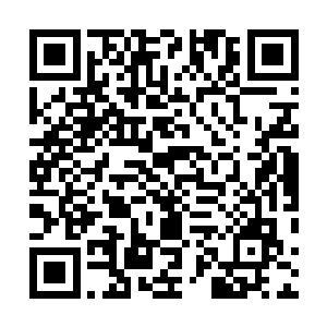 本来接待新人这些事情根本用不着梓箐去亲力亲为操心的二维码生成