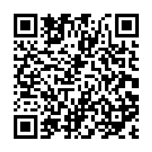 本来是一片皑皑白雪硬生生的被大家踩出来一条路二维码生成