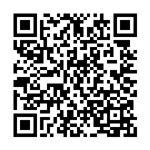 本来是他们带着戏谑的心态来对付风门村的余孽二维码生成