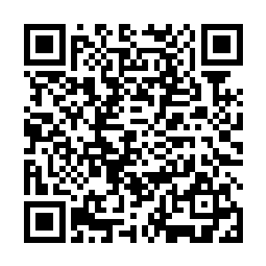 本来是觉得仙路门将净世青萍剑送来多少有点什么想法二维码生成