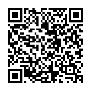 本来最后的希望都压在护国将军赵将军与他手中的那十万大军上二维码生成