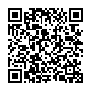 本来李锐对于这间石室内没有收获而感到有些遗憾的时候二维码生成
