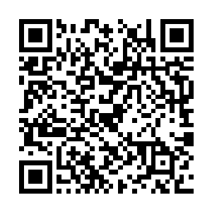 本来杨开还担心自己的修炼会因为环境而有所影响二维码生成