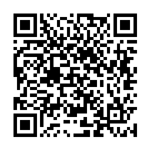 本来热热闹闹的大厅随着十几人离去也安静了下来二维码生成