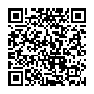 本来皇帝对于东黎墨选白芷璃做王妃就已经心存芥蒂二维码生成