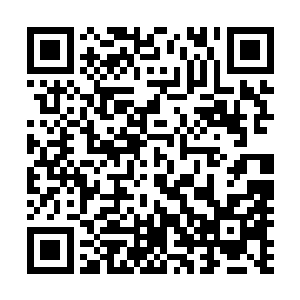 本来相貌颇为不俗的二人此时的模样简直是可以吓哭小孩了二维码生成