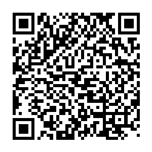 本来罗檀仙君以为夏云杰能给西河派带去一点小麻烦已经算是不错了二维码生成