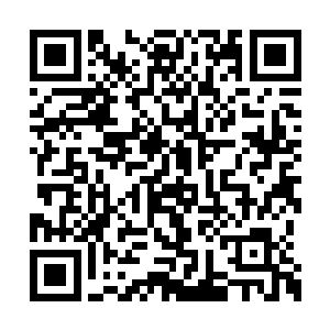 本来脸上还带着惊喜的两人刹那之间化为了虚无二维码生成