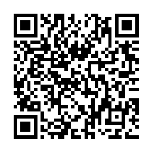 本来苏落的神秘来历和炼药天分让他们有一种惊慌失措二维码生成