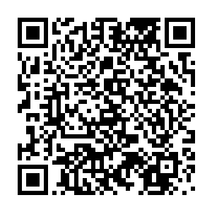 本来被他说的心里动摇的典看到他这样的眼神简直像是吞了一大块烂肉二维码生成