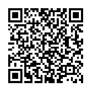 本来西陵犯境的消息一传来墨修尧就该立刻启程回京二维码生成