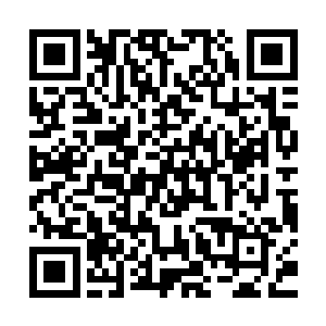 本来还仗着皇后的威名在这里耍威风的侍卫一下子就成了卵蛋了二维码生成