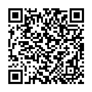 本来还以为自己需要同时面对两个实力恐怖的改造人二维码生成