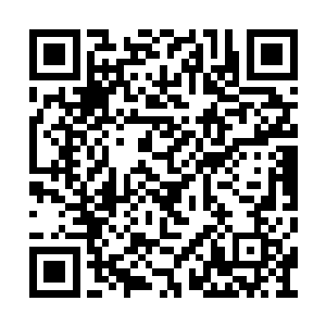 本来还充满了一片祥和生机的世界居然消失不见二维码生成