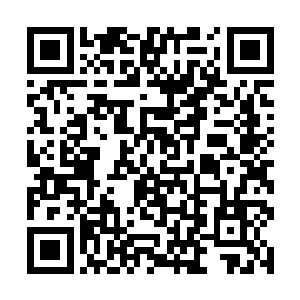 本来还准备了很多手段的赛雷连一样手段都没有用上二维码生成