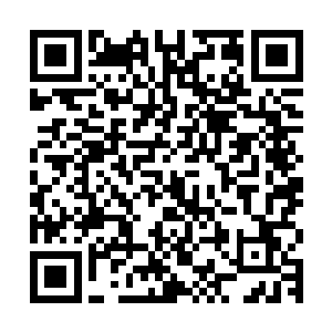本来还嚷嚷着让族长出主意的黑蛟一族的长老们全都收敛了声音二维码生成