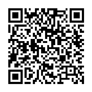 本来还在犹豫的我不知道是本能驱使还是什么原因二维码生成